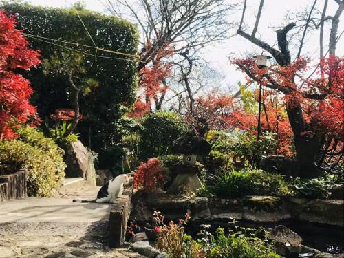 Guest house Mitaki - 주변 환경