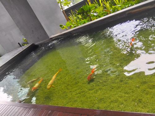 STAR Residences Popular By KLCC - image 7