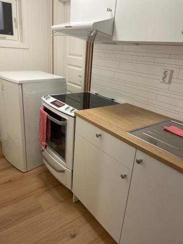 Quiet and peaceful apartment, close to everything in Kvaloysletta