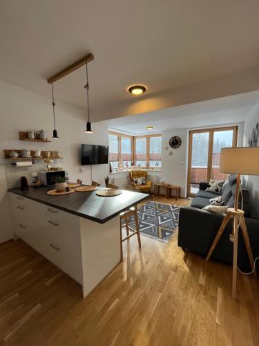 Palvelut, Slunečný apartmán (Slunecny apartman) in Cerny Dul