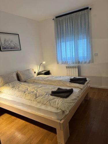 Sunny Nest Sunny Nest