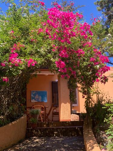 Casa MìMì gîte à louer Casa Azara