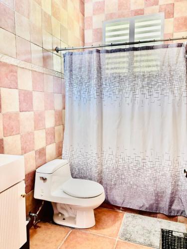 Carabali rainforest park,pool,beach,el yunque