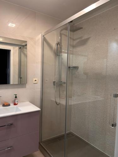 Appartement T2 dans une résidence avec piscine, Toulouse (fotografie 10)