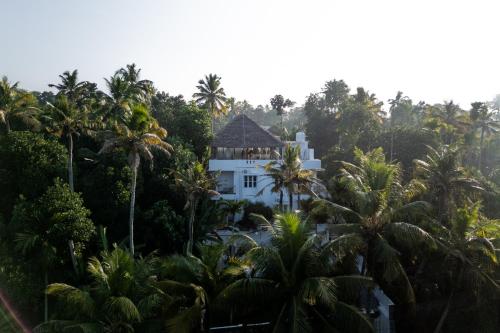 Utopia Varkala - Boutique stay in Odayam rice fields, Varkala