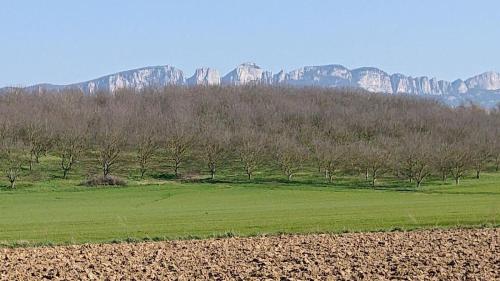 Au contact de la nature gîte à louer Beauriants