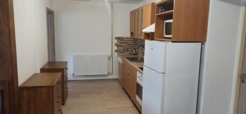 Chalupa U Jezu Bělá (Chalupa U Jezu Bela) in Bela Pod Pradedem