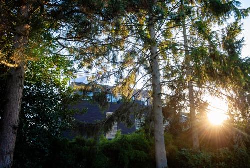 New Design Apartment 002EVA