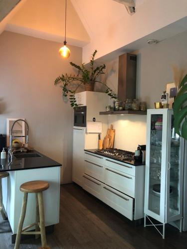 Cozy apartment with large roof terrace, Amsterdam (zdjęcie 4)