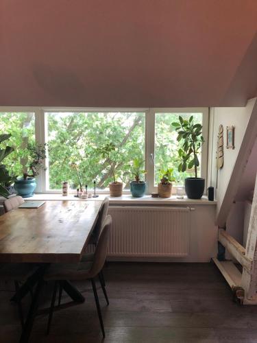 Cozy apartment with large roof terrace, Amsterdam (zdjęcie 7)