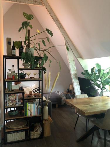 Cozy apartment with large roof terrace, Amsterdam (zdjęcie 9)