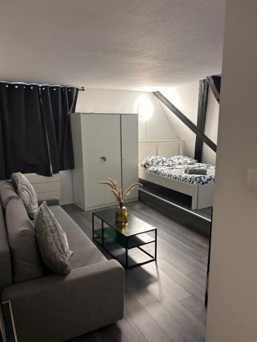 STRASBOURG : STUDIO HYPER CENTRE, Strasbourg (photo 9)