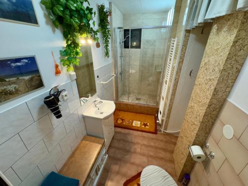 Apartmány DITZOVÁ (Apartmany DITZOVA) in روكيتنايس ناد جيزيرو