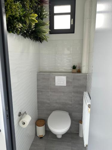 Le Vieux Thannois in Thann