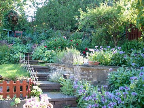 Ellen House Bed and Breakfast - main image