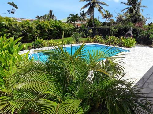 Studio cosy à Sainte Rose 19 m² avec piscine partagée