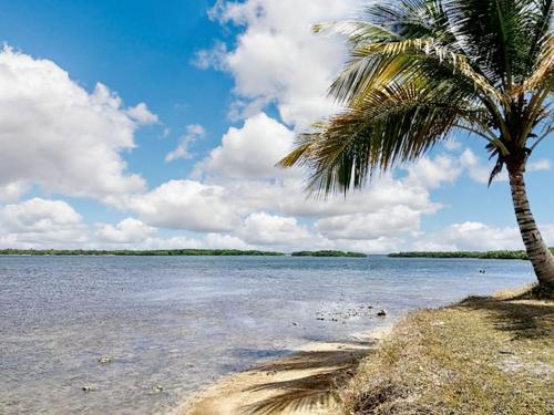Изглед, Studio confortable aux Abymes, 28 m², proche des plages. in Les Abymes