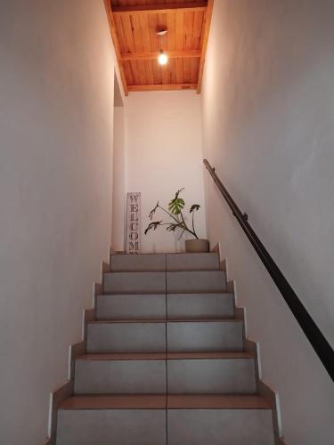Departamento El Serbal