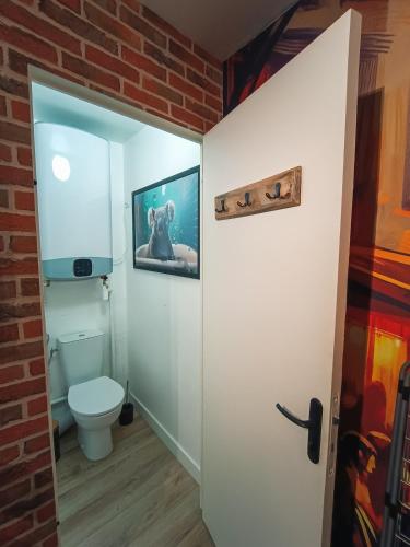 Studio de Charme Quartier Carmes, Tuluza (zdjęcie 8)