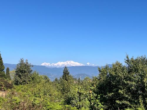 Lake Side Homestay - Pradhan Homestay Mirik in Mirik