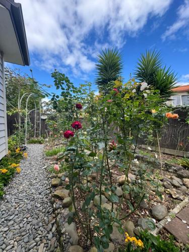 Rose house, Auckland (photo 7)