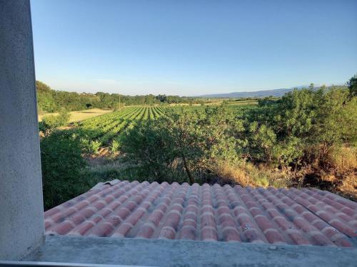Apkārtne, Domaine Saint Augustin in Rieux-Minervois
