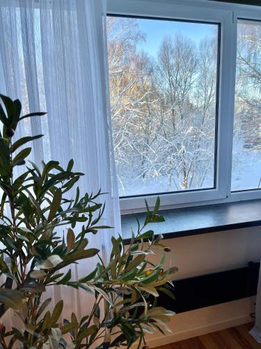 Kilátás, Otepää Boho Home (Otepaa Boho Home) in Otepaa