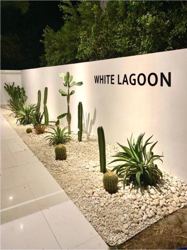 White Lagoon White Lagoon