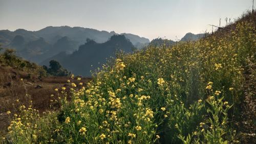 Higland Homestay Bac Ha in Bac Ha (Lao Cai)