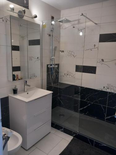 Chambre B1 dans un appartement en colocation 4