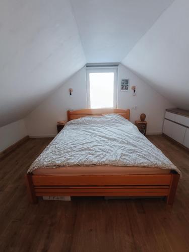 Domek wśród bagien Domek wśród bagien