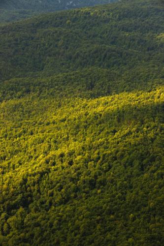 Lastiver Resort - image 4