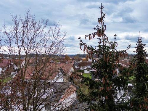 景觀, Wohnen bei Franzi - Tolle Wohnung für 4 Personen (Wohnen bei Franzi - Tolle Wohnung fur 4 Personen) in 阿爾特廷