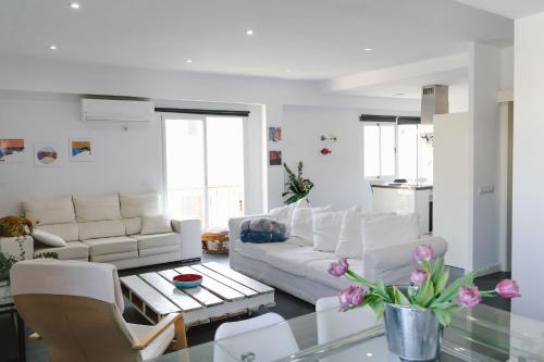 Cathedral View Apartment - City Center -Free Parking - AC
