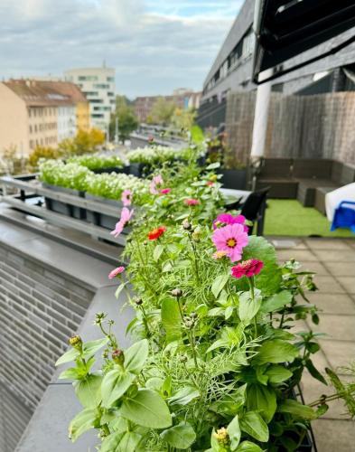 Penthouse 5 Room Duplex 3 Terraces, Near Center and Rhine, Базель (фото 10)