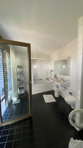 Penthouse 5 Room Duplex 3 Terraces, Near Center and Rhine, Базель (фото 11)