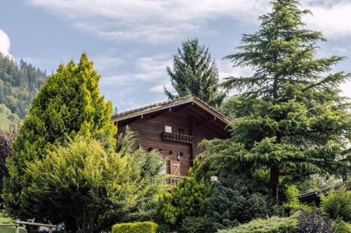 Chalet Henri, Montriond ideal familles in Montrionda
