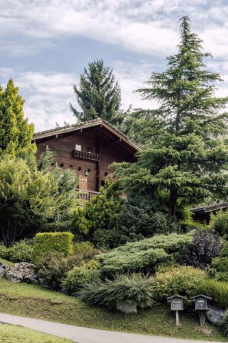Chalet Henri, Montriond ideal familles in Montrionda