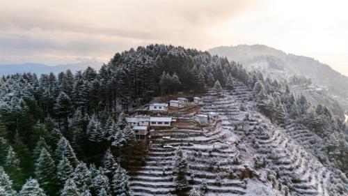 The Deodar Stays, Kanatal
