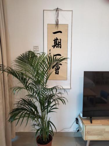 035 NO DEPO Palazio Apartment Japanese style Studio Mount Austin Wifi & Netflix - image 4