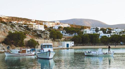 Maistrali - image 11