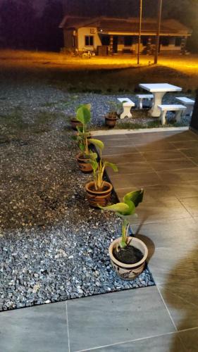 One Lot Lodging - Villa L near Politeknik Tuanku Syed Sirajudin