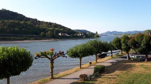 romantisch wohnen in der Altstadt von Linz am Rhein in Linz am Rhein