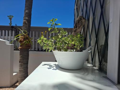 Tia Beach House - pool, beach and hamman Tia Beach House - pool, beach and hamman