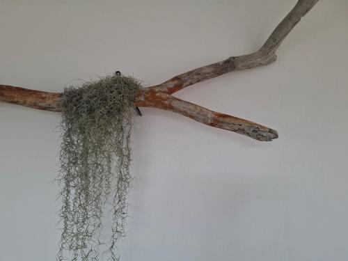 Tia Beach House - pool, beach and hamman Tia Beach House - pool, beach and hamman