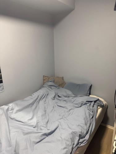 Fin leilighet for VM Fin leilighet for VM