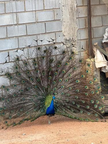 Pousada Várzea Grande