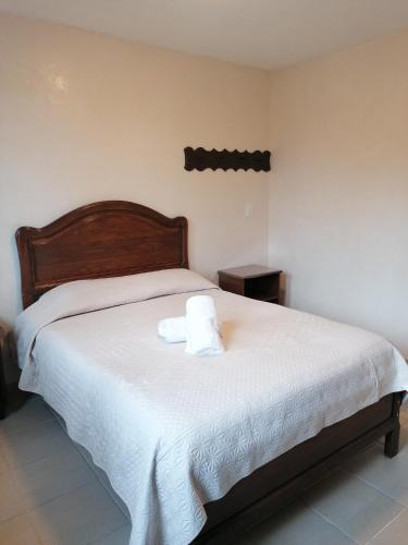 Hospedaje Migue & Cata y Temazcal Kuatlicue Chignahuapan Centro Holistico Hospedaje Migue & Cata y Temazcal Kuatlicue Chignahuapan Centro Holistico