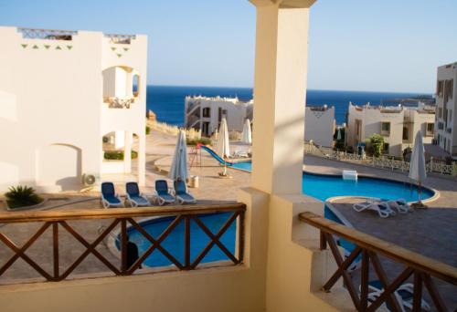 sharks bay oasis aqua park in ชาร์ม เอล-ชีค