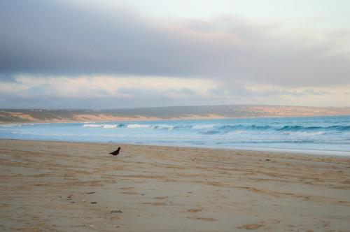 Seafront! Home in Boggomsbay Seafront! Home in Boggomsbay